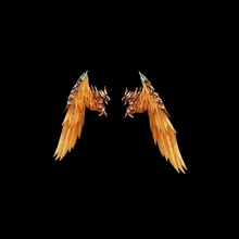 Pure Integrity Wing Core
