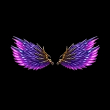 Wings of Barrier