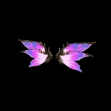 Wings of Fantasy