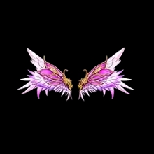 Wings of Inevitability