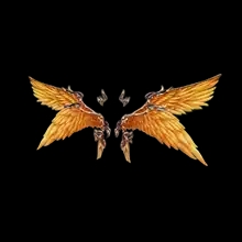 Wings of Integrity
