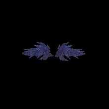 Wings of Curse