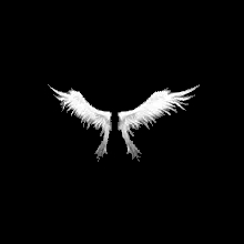 Wings of Heaven