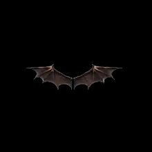 Wings of Satan