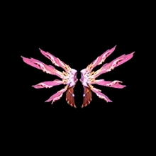 Destruction Wings