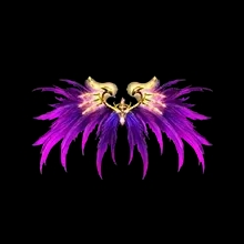 Eternal Wings