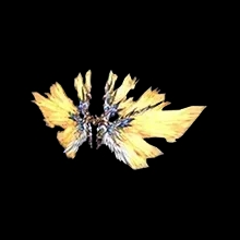 Storm's Wings