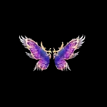 Wings of Fate