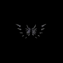 Wings of Darkness