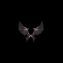 Wings of Dragon
