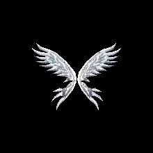 Wings of Soul