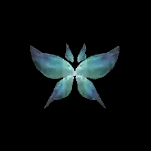 Wings of Spirit