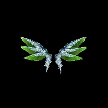 Wings of Disillusion
