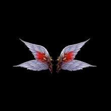 Wings of Hit