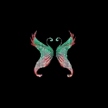 Wings of Illusion