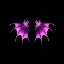 Wings of Silence