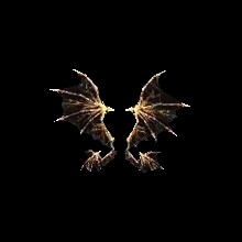 Wings of Storm