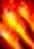 Fire Scream